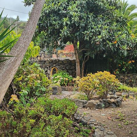 Villa Oasis Hill Botanical Garden Icod De Los Vinos Exterior foto