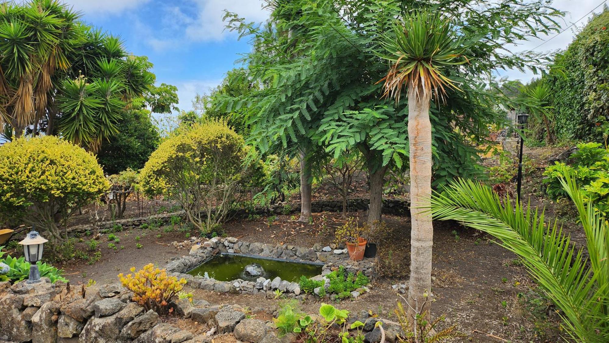 Villa Oasis Hill Botanical Garden Icod De Los Vinos Exterior foto