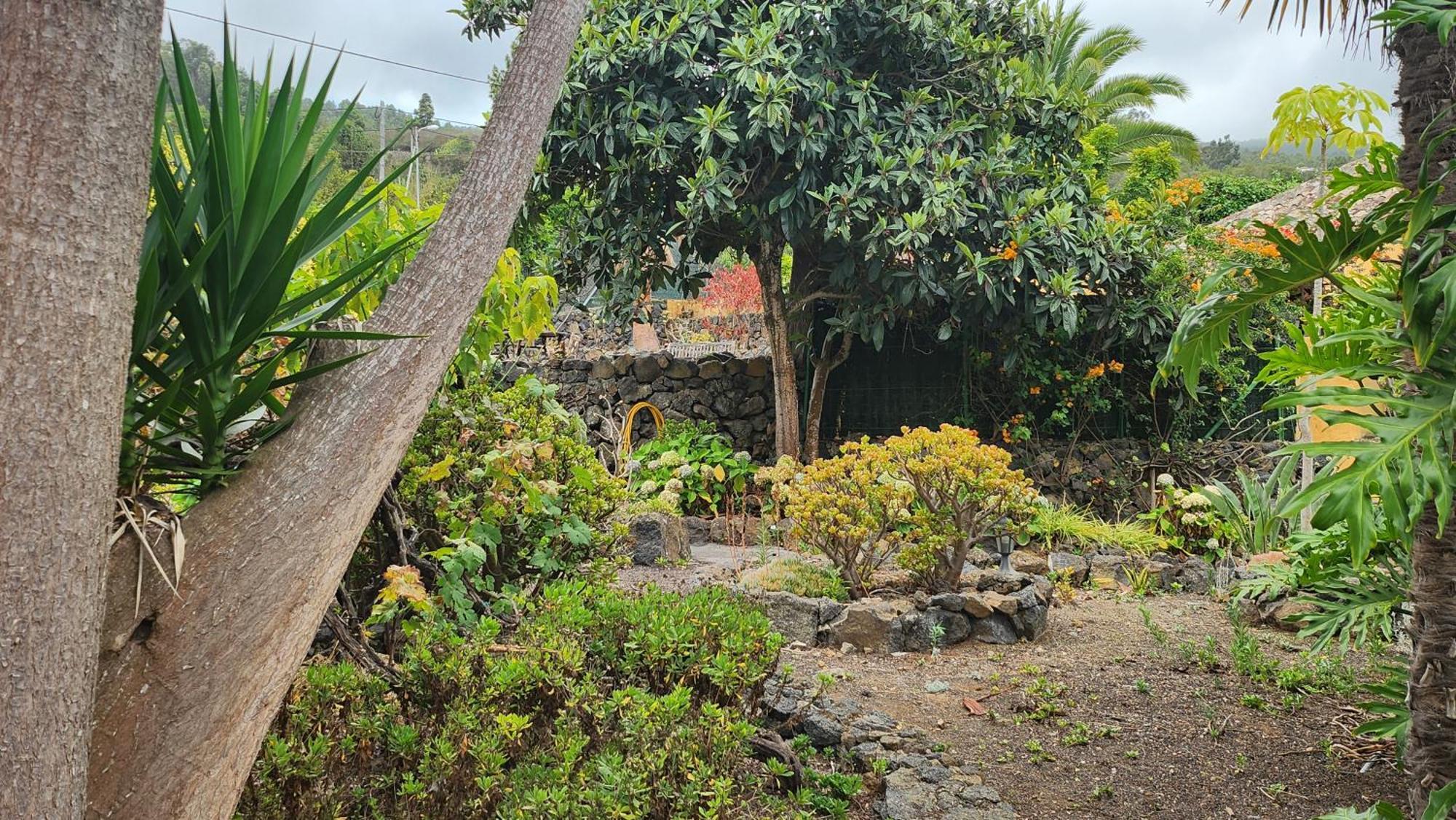 Villa Oasis Hill Botanical Garden Icod De Los Vinos Exterior foto