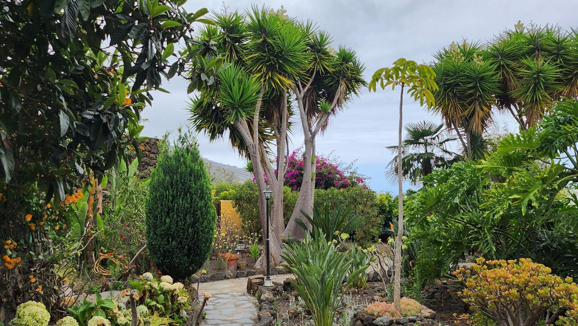 Villa Oasis Hill Botanical Garden Icod De Los Vinos Exterior foto