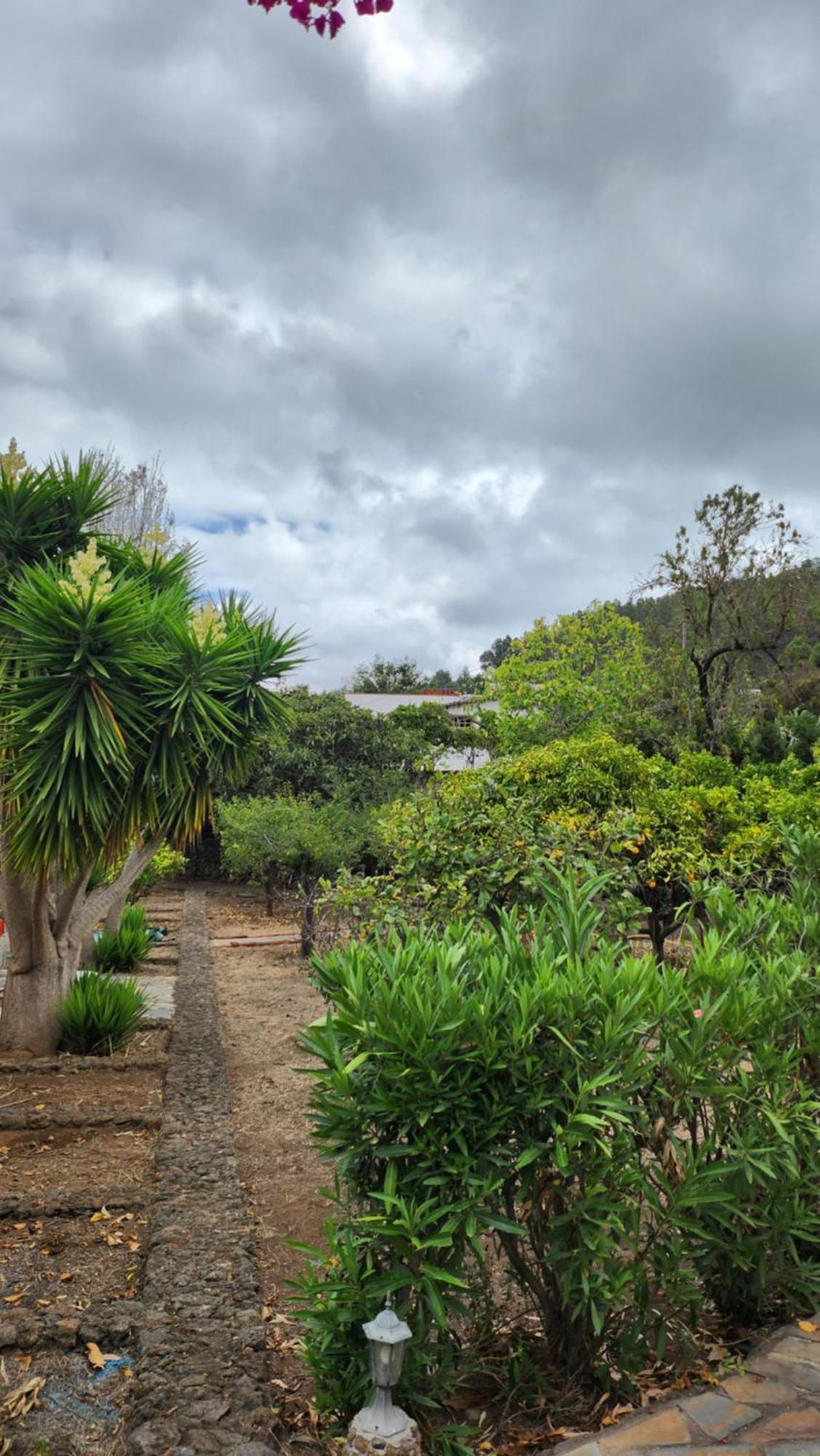 Villa Oasis Hill Botanical Garden Icod De Los Vinos Exterior foto